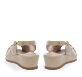 PAREX 11633038.E ΜΠΕΖ 