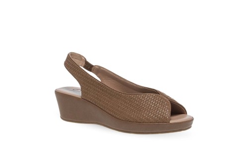 PAREX 11633036.U ΠΟΥΡΟ 