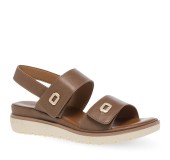 PAREX 11633062.U ΠΟΥΡΟ PAREX 11633062.U ΠΟΥΡΟ