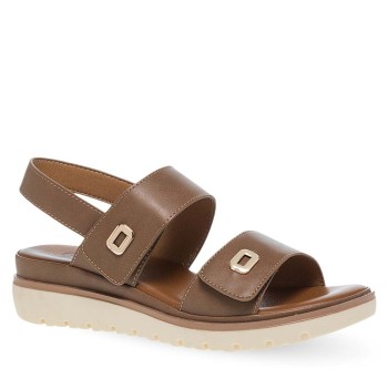 PAREX 11633062.U ΠΟΥΡΟ 