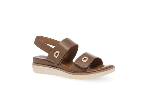 PAREX 11633062.U ΠΟΥΡΟ 