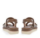 PAREX 11633062.U ΠΟΥΡΟ PAREX 11633062.U ΠΟΥΡΟ