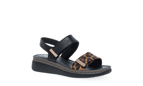 PAREX 11633143.LE ΛΕΟΠΑΡ 