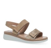 PAREX 11633096.E ΜΠΕΖ 