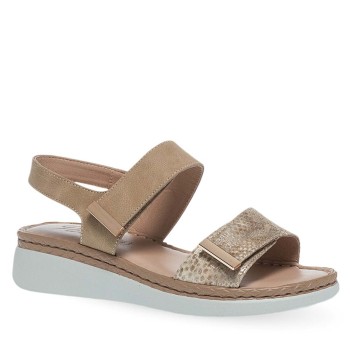 PAREX 11633096.E ΜΠΕΖ 