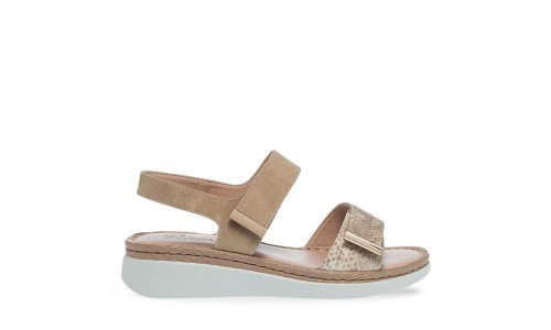 PAREX 11633096.E ΜΠΕΖ 