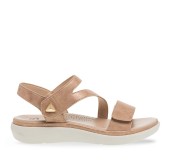 PAREX 11633120.RG ΡΟΖ ΧΡΥΣΟ 