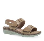 PAREX 11633070.E ΜΠΕΖ 