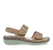 PAREX 11633070.E ΜΠΕΖ 