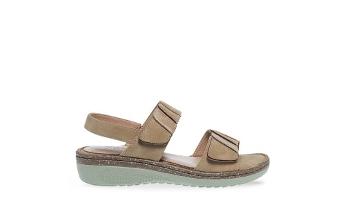 PAREX 11633070.E ΜΠΕΖ 