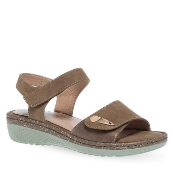 PAREX 11633063.K ΚΑΦΕ 