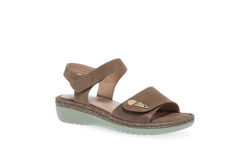 PAREX 11633063.K ΚΑΦΕ 