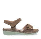 PAREX 11633063.K ΚΑΦΕ 