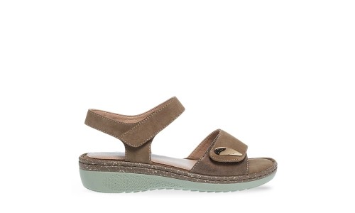 PAREX 11633063.K ΚΑΦΕ 