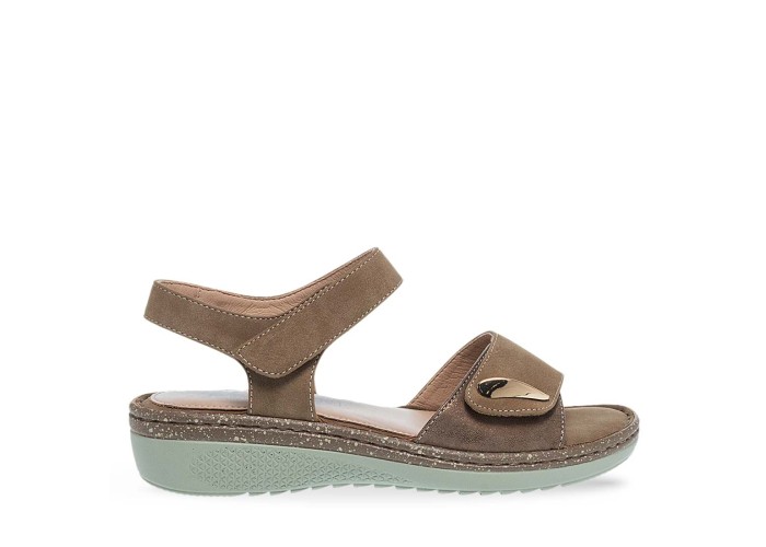 PAREX 11633063.K ΚΑΦΕ 