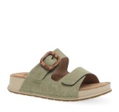 PAREX 11533024.X ΧΑΚΙ 