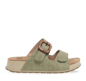 PAREX 11533024.X ΧΑΚΙ 