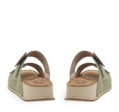 PAREX 11533024.X ΧΑΚΙ 