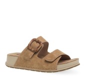 PAREX 11533024.KM ΚΑΜΕΛ 