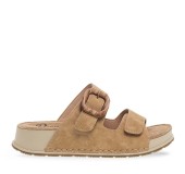 PAREX 11533024.KM ΚΑΜΕΛ 