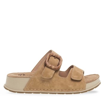 PAREX 11533024.KM ΚΑΜΕΛ 