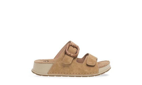 PAREX 11533024.KM ΚΑΜΕΛ 