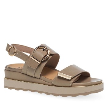 PAREX 11633043.U ΠΟΥΡΟ 