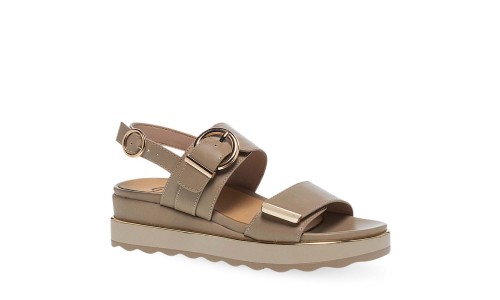 PAREX 11633043.U ΠΟΥΡΟ 