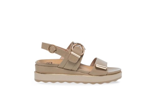 PAREX 11633043.U ΠΟΥΡΟ 