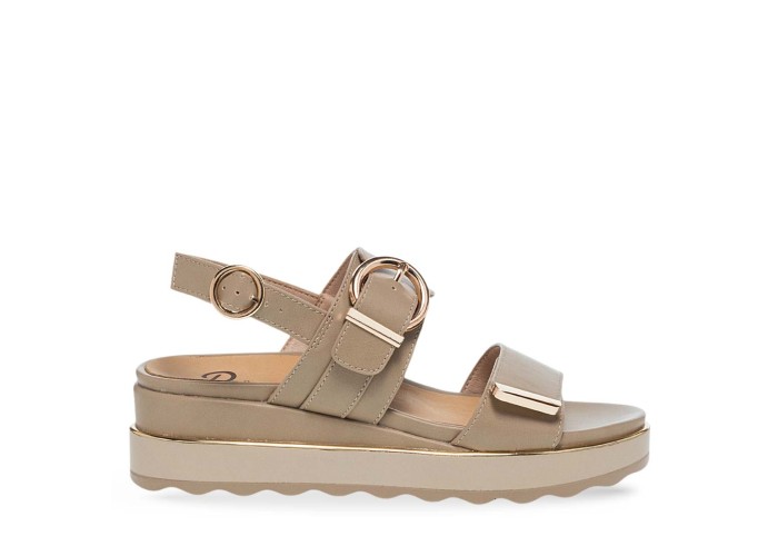 PAREX 11633043.U ΠΟΥΡΟ 