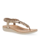 PAREX 11633083.P ΧΡΥΣΟ 