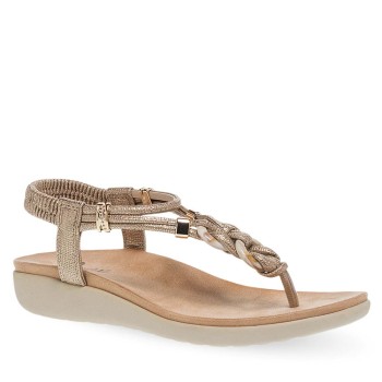 PAREX 11633083.P ΧΡΥΣΟ 