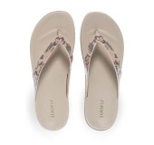 PAREX 11833070.E ΜΠΕΖ 