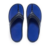 PAREX 11829116.N ΜΠΛΕ 