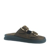 NIKOL NK-1824 ΚΑΦΕ 