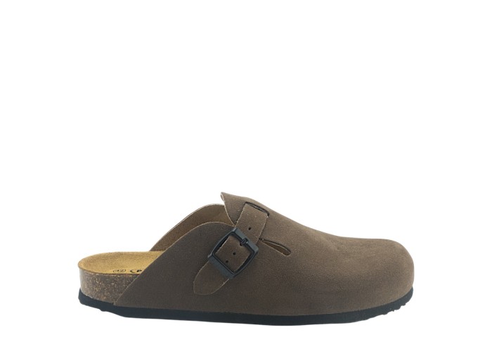 PLAKTON 171539 LODO PLAKTON 171539 LODO