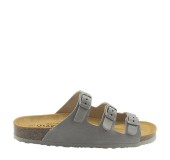 PLAKTON 186456 BLEIR 