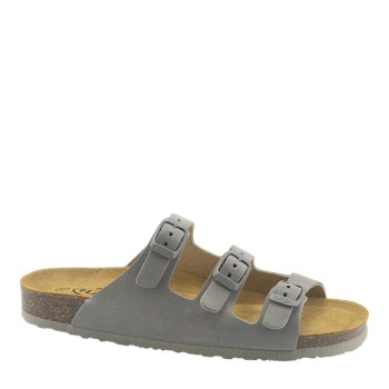 PLAKTON 186456 BLEIR 