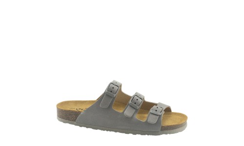 PLAKTON 186456 BLEIR 