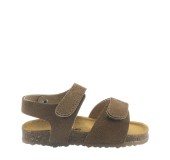 PLAKTON 855459 VISON 