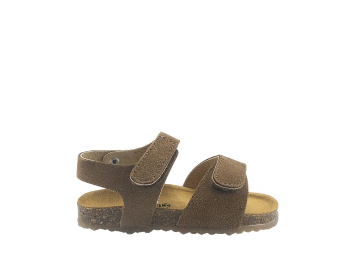 PLAKTON 855459 VISON 