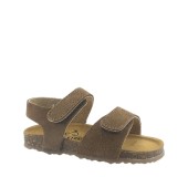 PLAKTON 855459 VISON 