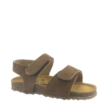 PLAKTON 855459 VISON 