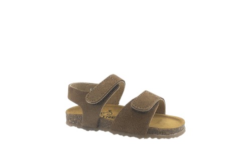 PLAKTON 855459 VISON 