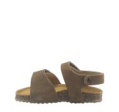 PLAKTON 855459 VISON 