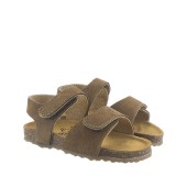 PLAKTON 855459 VISON 