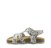 PLAKTON 135569 BLANCO 