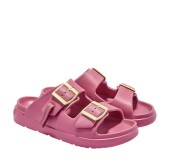 D.FRANKLIN 413005 ROSE 