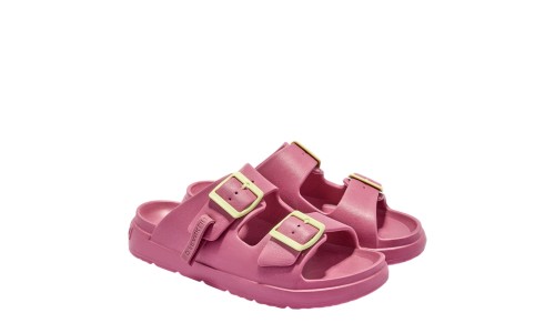 D.FRANKLIN 413005 ROSE 