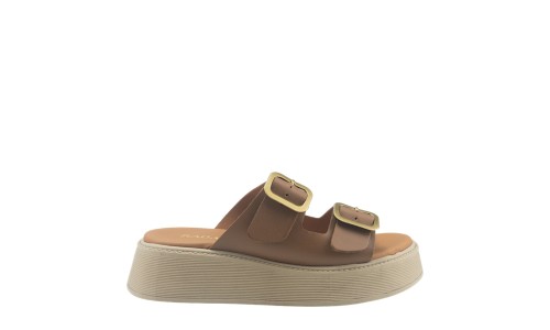 RAGAZZA 01236 ΤΑΜΠΑ 